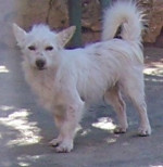 blankito 3 20111018 2016877431