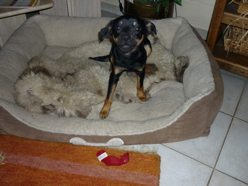 amando 1 20120221 1553404969