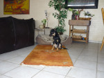amando 3 20120221 1058104851