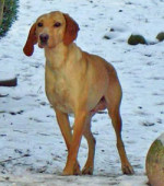 amigo 20101111 1466953281