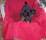 belynda 20110109 1782612767