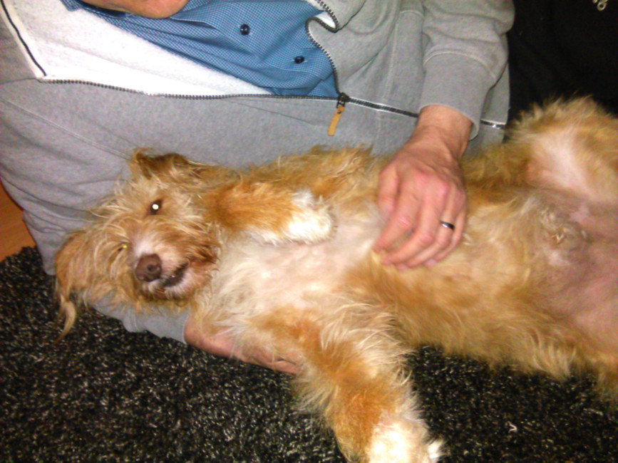 IMG 20170508 210331 IMG 20170508 210331