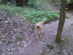 IMG 20170524 162212 IMG 20170524 162212