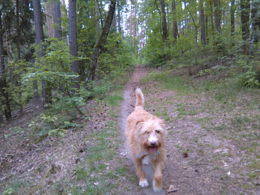 IMG 20170524 162247 IMG 20170524 162247