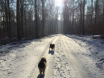 IMG 4670 IMG 4670