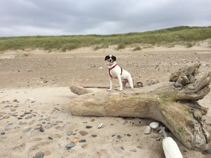 esteli 3 20161008 1434363489 esteli 3 20161008 1434363489