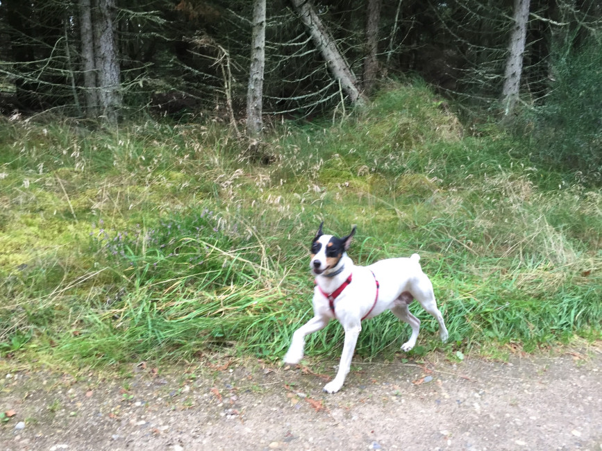 esteli 4 20161008 1088120796 esteli 4 20161008 1088120796