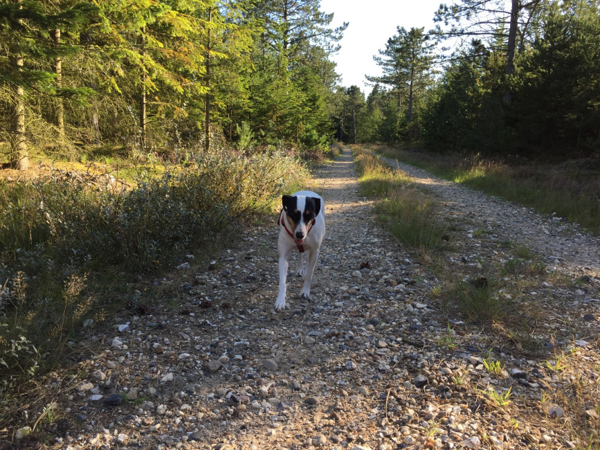 esteli 6 20161008 1902719637 esteli 6 20161008 1902719637