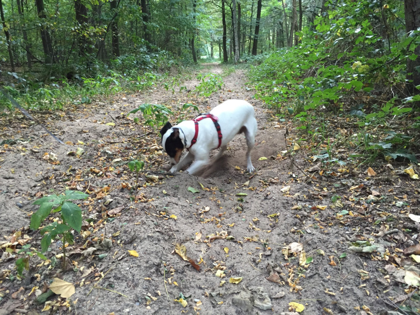 esteli 7 20161008 1278313312 esteli 7 20161008 1278313312