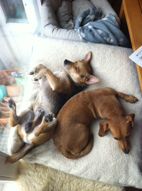 miro 2 20140114 1108320044 miro 2 20140114 1108320044