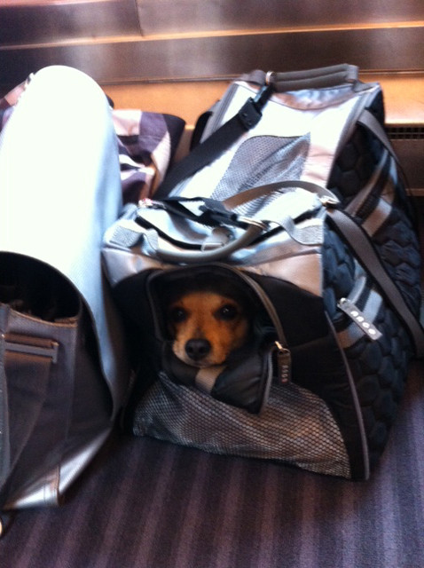 miro 3 20140114 1221988185 miro 3 20140114 1221988185