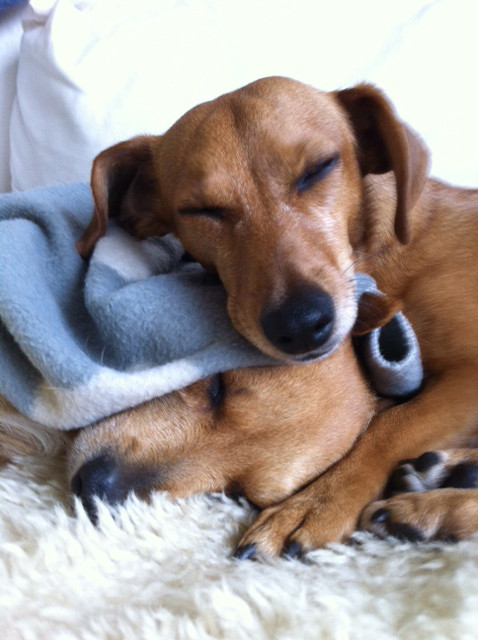 miro 6 20140114 1598497776 miro 6 20140114 1598497776