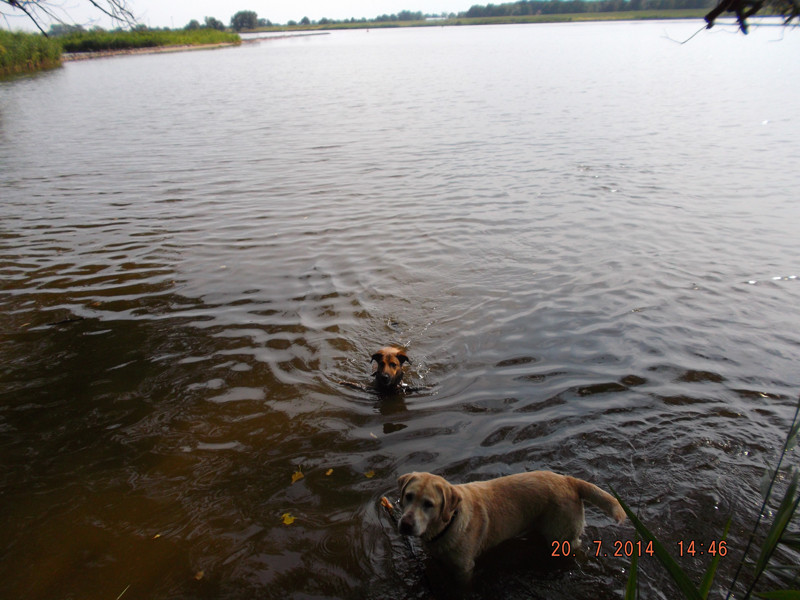 cocovet 4 20150106 1716882607 cocovet 4 20150106 1716882607