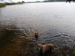 cocovet 4 20150106 1716882607 cocovet 4 20150106 1716882607