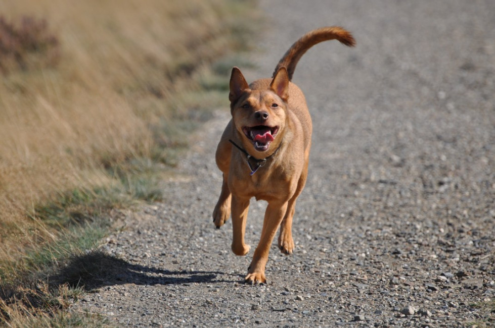 divo 2 20130610 1049402654 divo 2 20130610 1049402654