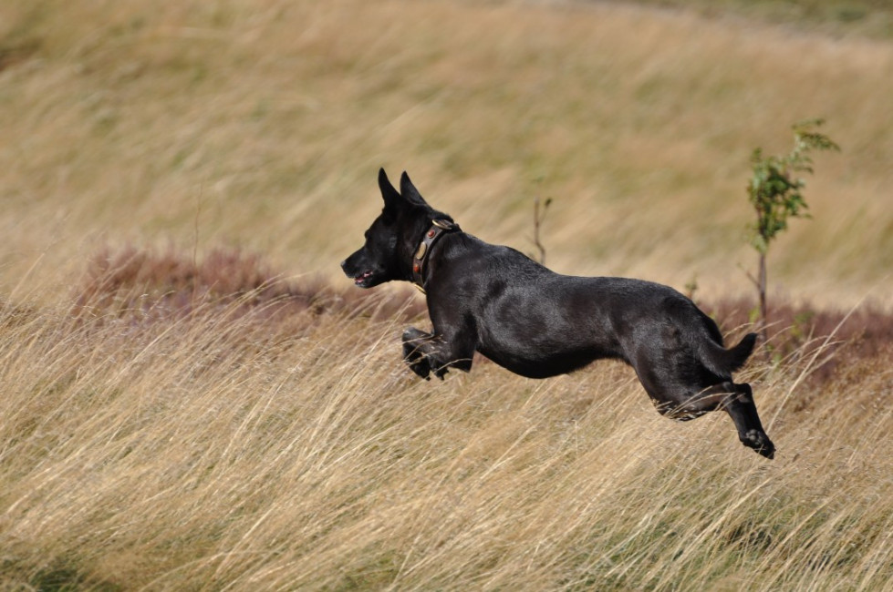 divo 4 20130610 1109655956 divo 4 20130610 1109655956