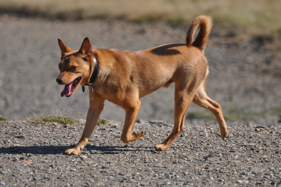 divo 5 20130610 1292173561 divo 5 20130610 1292173561