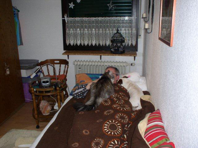 gordon 20101205 1147777095 gordon 20101205 1147777095