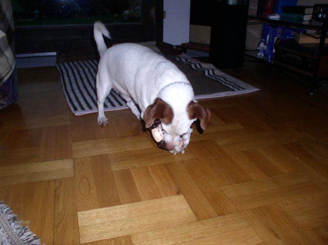 gordon 20101205 1421125192 gordon 20101205 1421125192