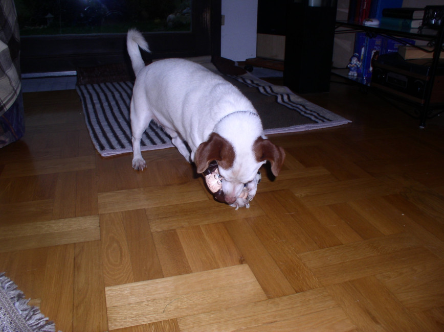 gordon 20101227 1572287801 gordon 20101227 1572287801