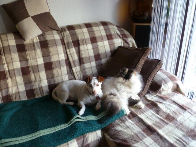 gordon 2 20130707 1444698976 gordon 2 20130707 1444698976