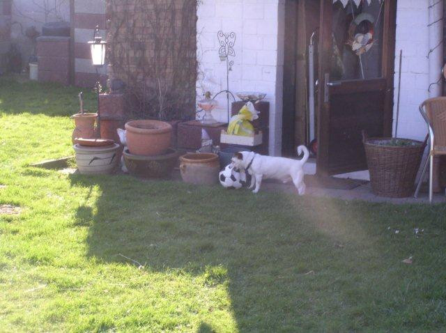 gordon 3 20111018 1060045895 gordon 3 20111018 1060045895