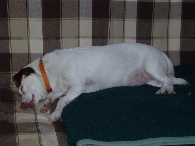 gordon 3 20130707 1556969399 gordon 3 20130707 1556969399