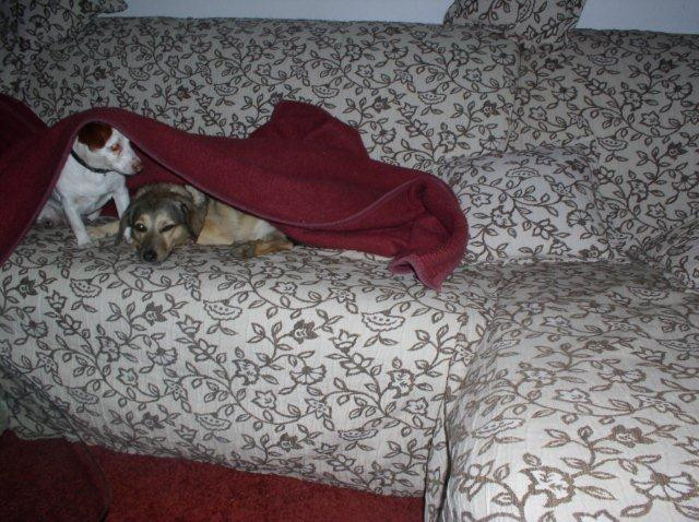 gordon 4 20111018 1514611821 gordon 4 20111018 1514611821