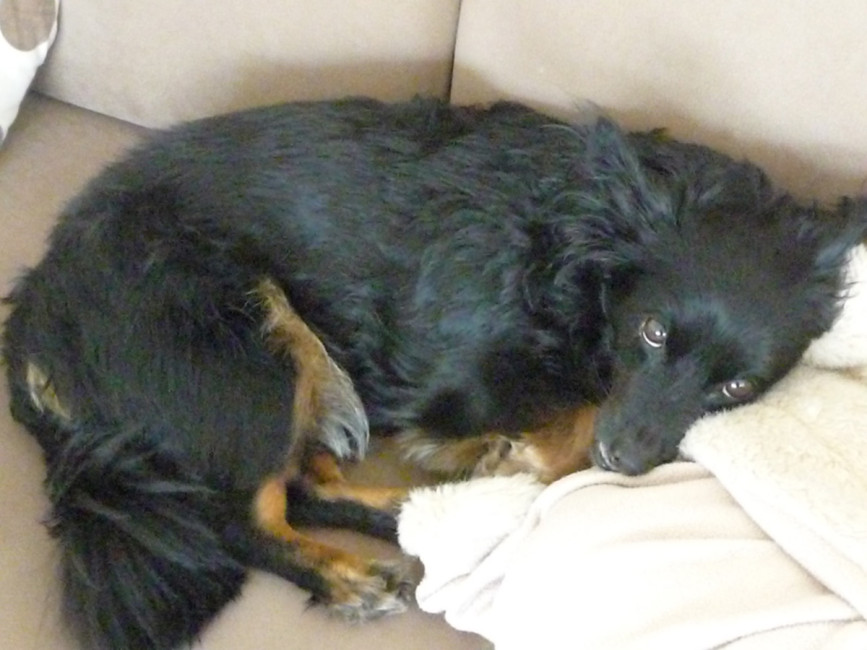 mingo 3 20130704 1121535699 mingo 3 20130704 1121535699