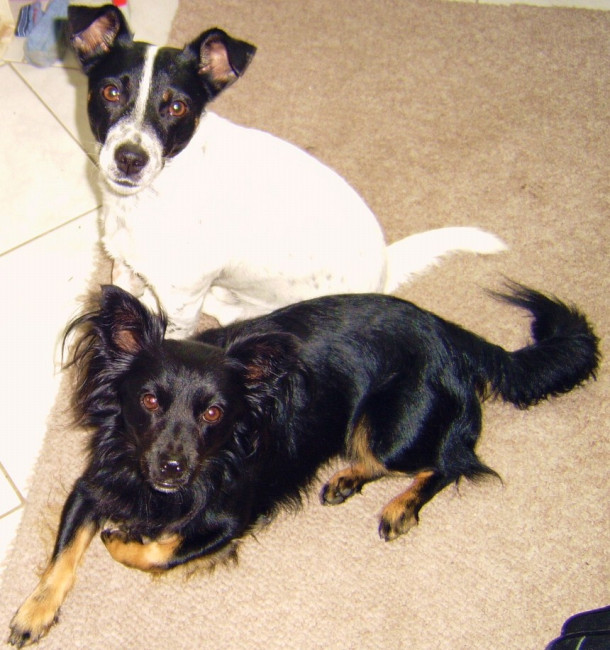 mingo 4 20130704 1231172197 mingo 4 20130704 1231172197