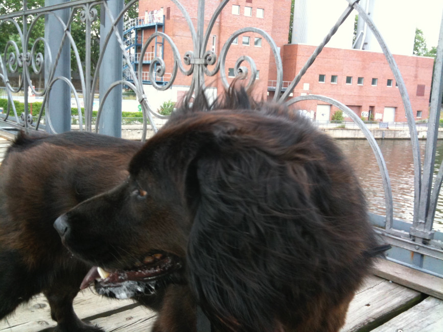 muneca 2 20110609 1148220136 muneca 2 20110609 1148220136