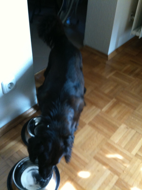 muneca 4 20110609 1757316403 muneca 4 20110609 1757316403