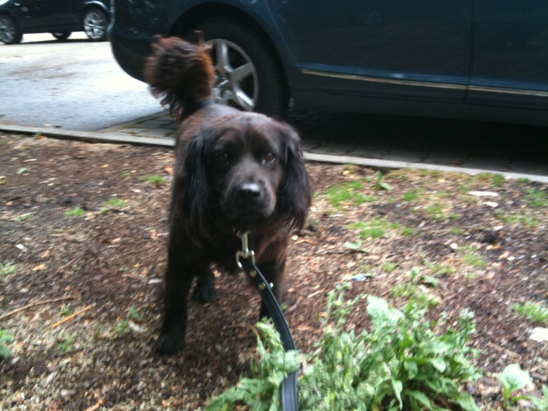 muneca 5 20110609 1525207686 muneca 5 20110609 1525207686