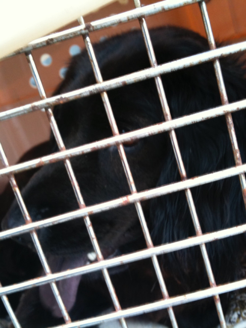 muneca 6 20110609 1837671360 muneca 6 20110609 1837671360