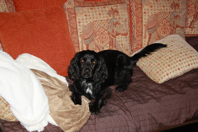 nanni 2 20110823 1503749659