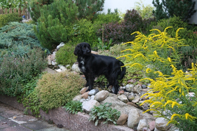 nanni 3 20110823 1471497205 nanni 3 20110823 1471497205