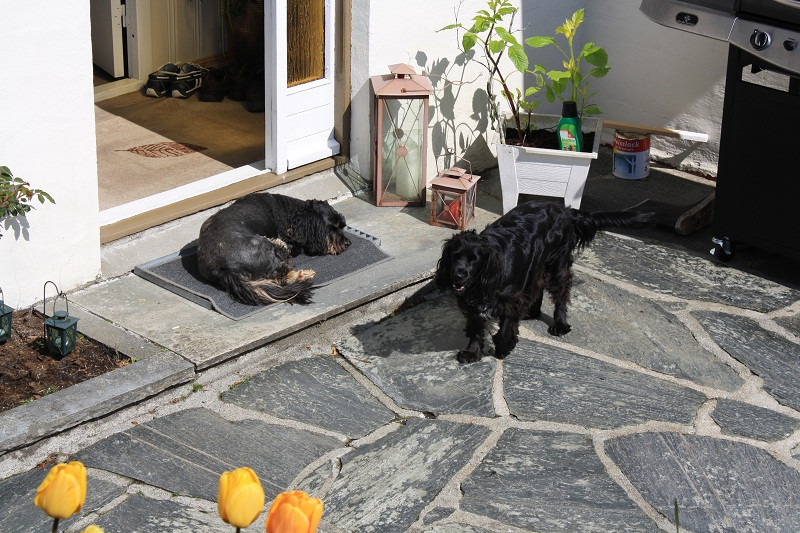 nanni 3 20130203 1760423698 nanni 3 20130203 1760423698