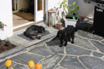 nanni 3 20130203 1760423698 nanni 3 20130203 1760423698
