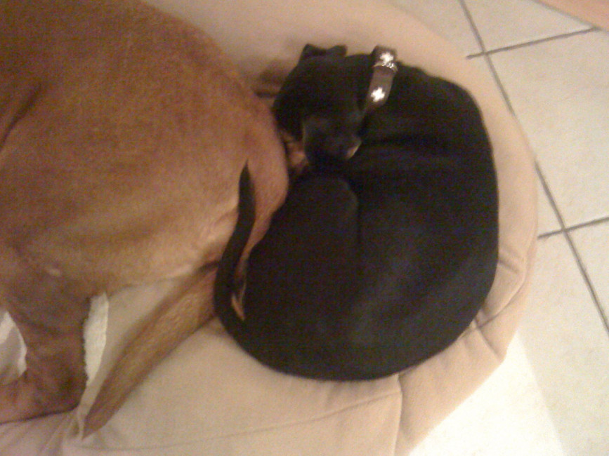 bluna 5 20120110 1035944696 bluna 5 20120110 1035944696