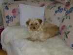 cecilia 1 20121214 1592604761