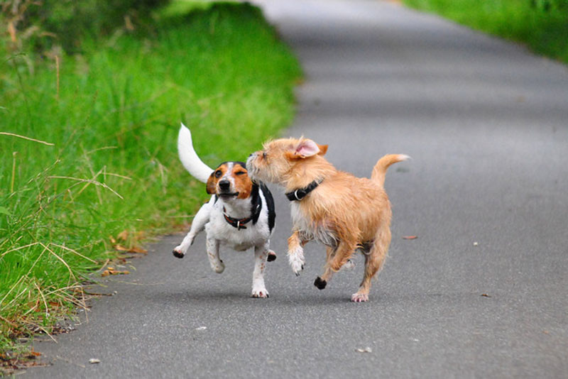 christia 3 20121207 1773950433 christia 3 20121207 1773950433