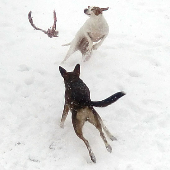 cina 20101225 1763299107 cina 20101225 1763299107