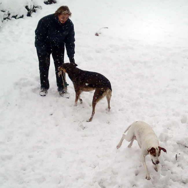 cina 20101225 1916903167 cina 20101225 1916903167