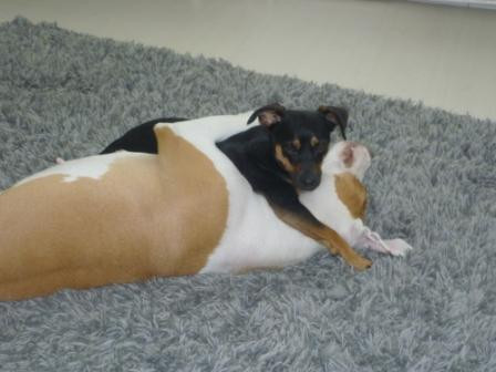 cola 4 20110912 1200462830 cola 4 20110912 1200462830