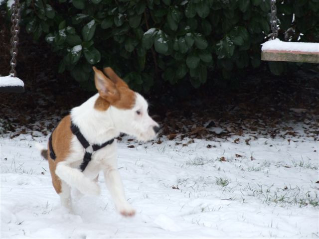 mogli 2 20130111 1511575629