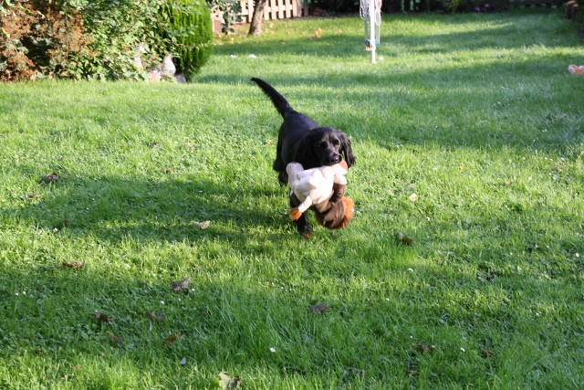 nanni 4 20110823 2053568325 nanni 4 20110823 2053568325