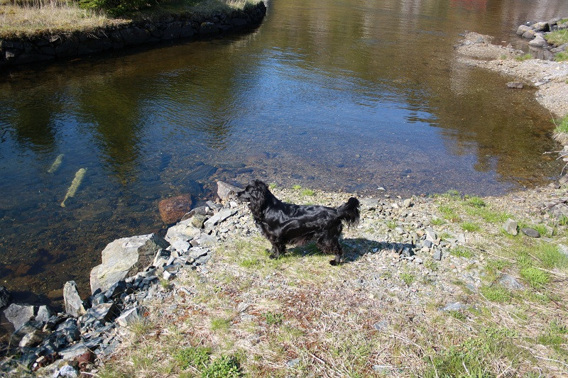 nanni 5 20130203 2027480969 nanni 5 20130203 2027480969