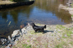 nanni 5 20130203 2027480969 nanni 5 20130203 2027480969