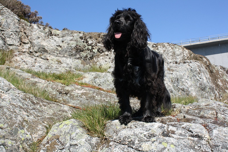 nanni 6 20130203 1251528238 nanni 6 20130203 1251528238