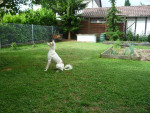 remo 3 20130710 1338957369 remo 3 20130710 1338957369